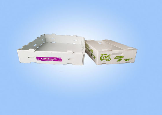 Boîtes de rangement en plastique ondulées recyclables de Corflute de boîtes de rangement